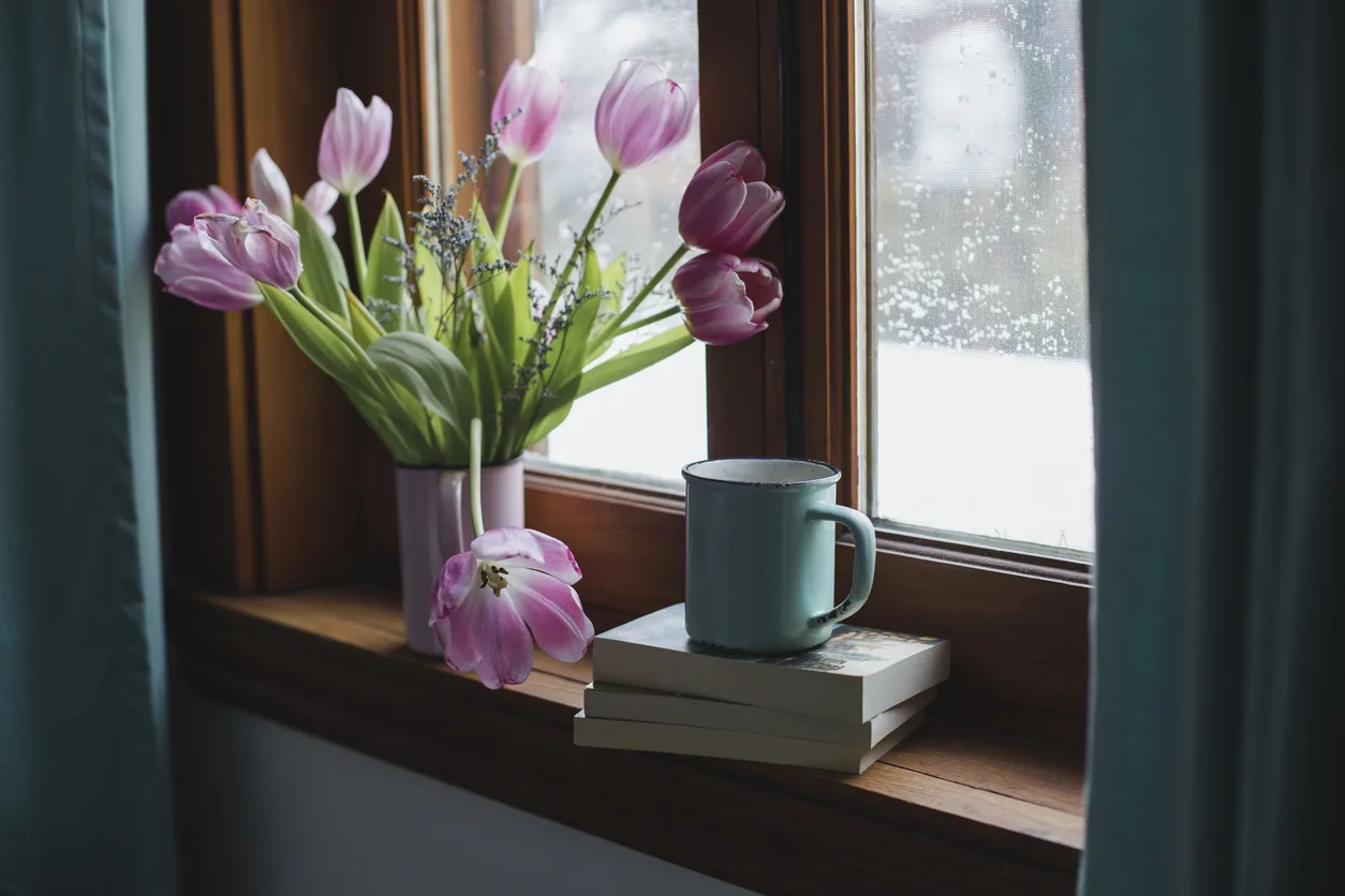 Qué plantar en noviembre en el huerto, en macetas y en el jardín