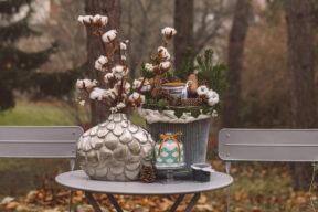 Cómo conservar las flores de algodón y cómo usarlas para embellecer la casa