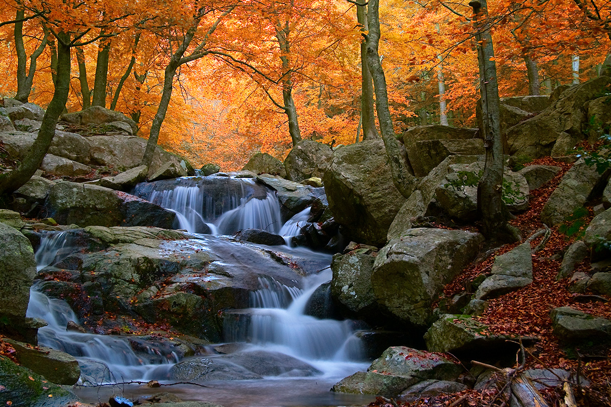 Otoño en el Montseny: 5 rutas para disfrutar