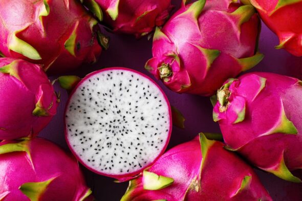 Cómo cultivar la pitaya o fruta del dragón