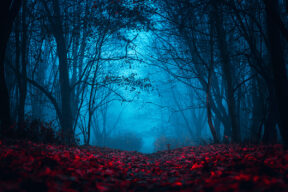 Dónde se rodó Stranger Things